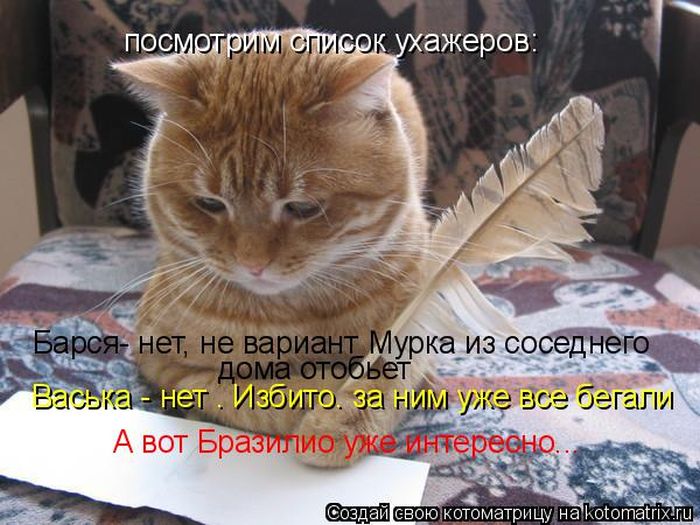 Лучшие котоматрицы недели