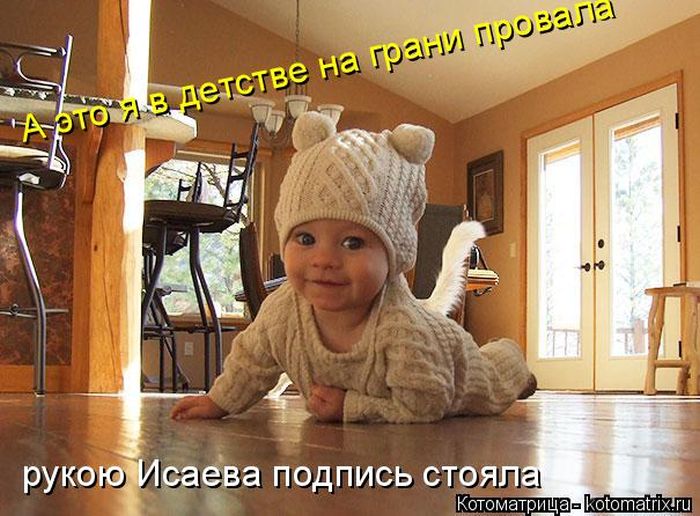 Лучшие котоматрицы недели