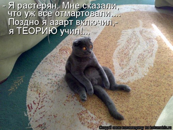 Лучшие котоматрицы недели