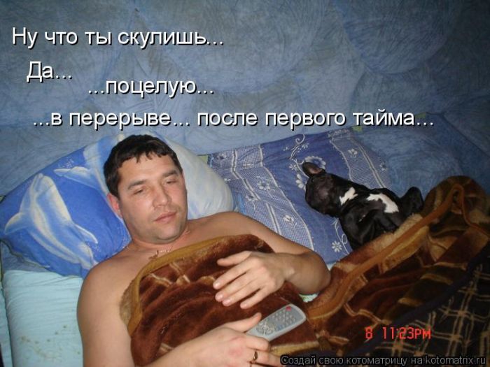 Лучшие котоматрицы недели