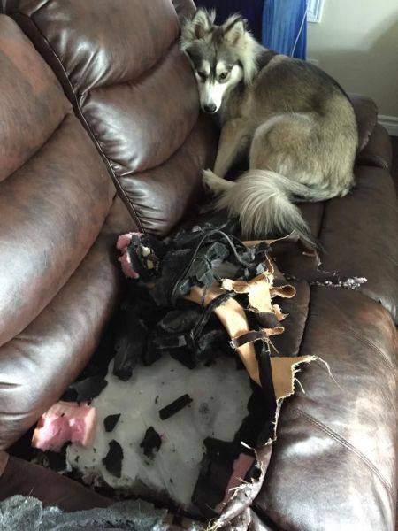 Фейлы из повседневной жизни