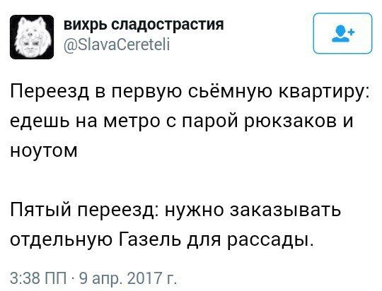 Свежий юмор из социальных сетей