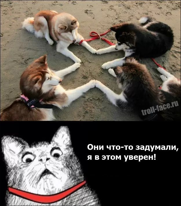 Веселые комиксы