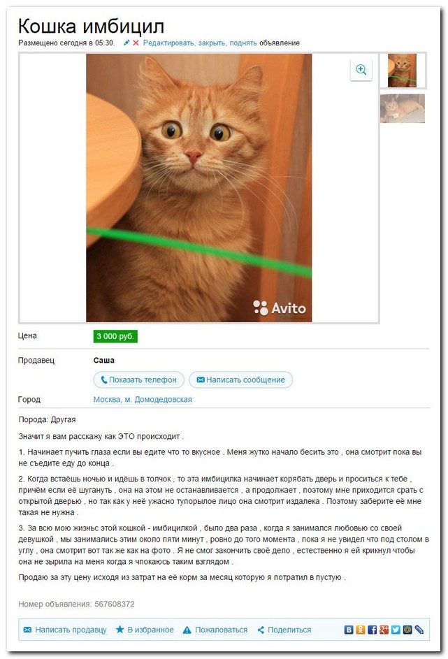 Смешные комментарии из социальных сетей