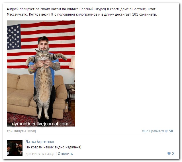 Смешные комментарии из социальных сетей