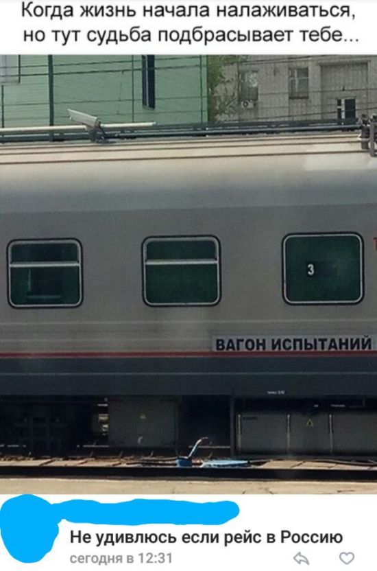 Юмор из социальных сетей