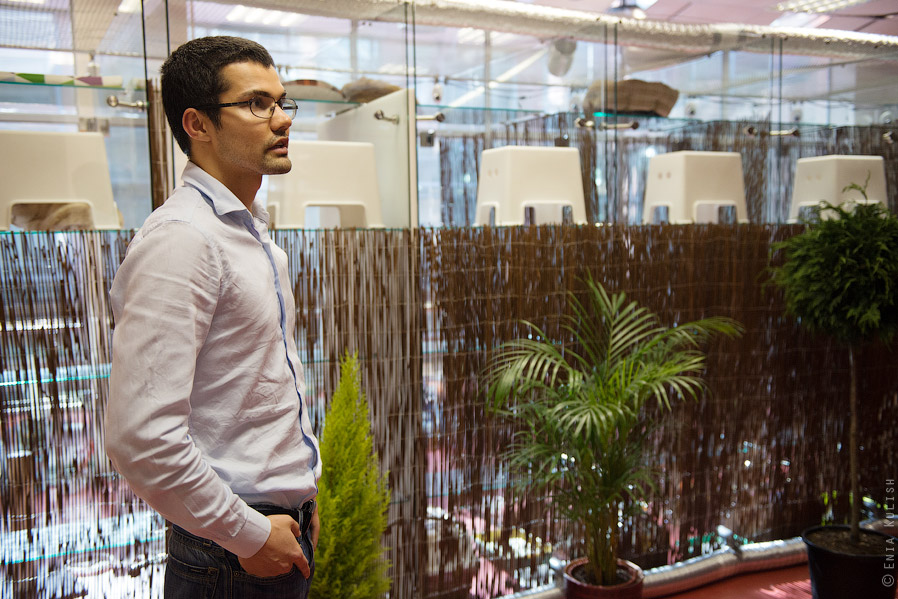 Гостиница для кошек