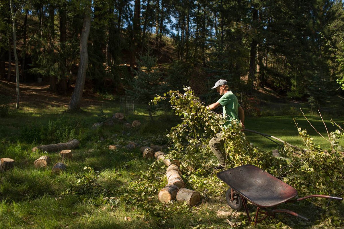 Будни современного хоббита Будни современного хоббита