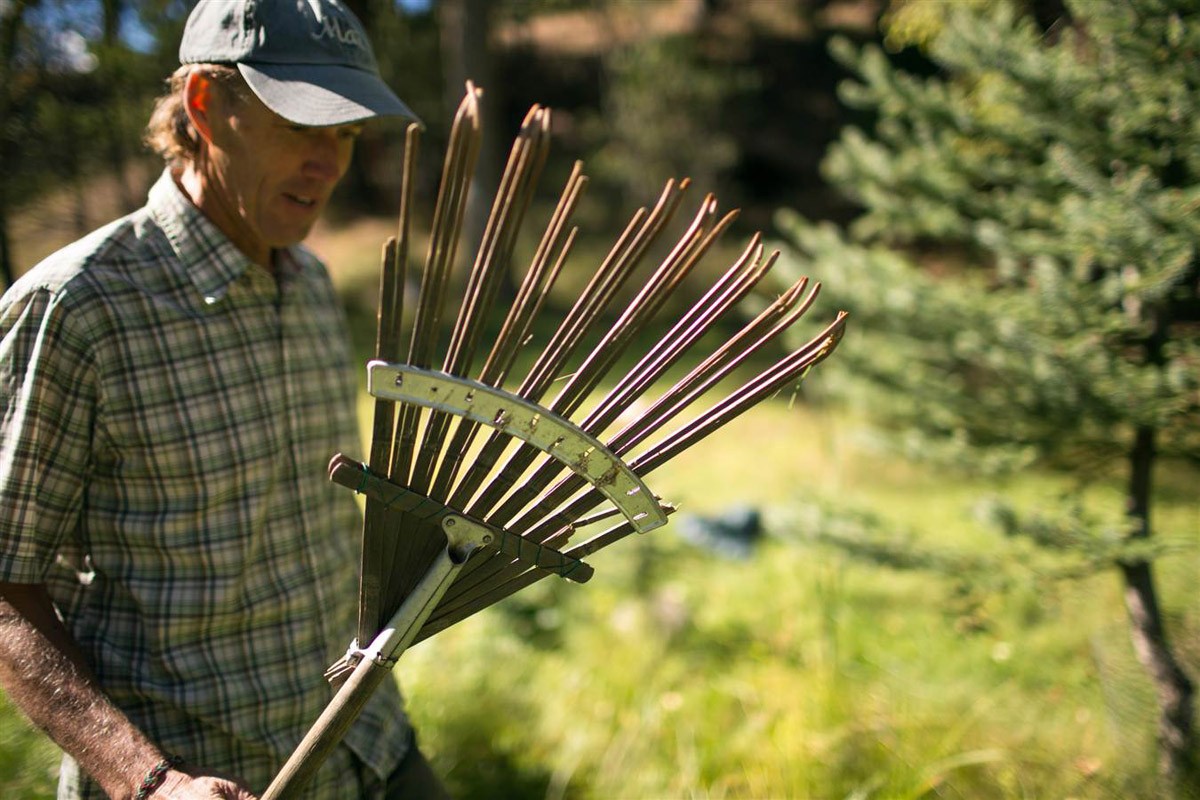 Будни современного хоббита Будни современного хоббита