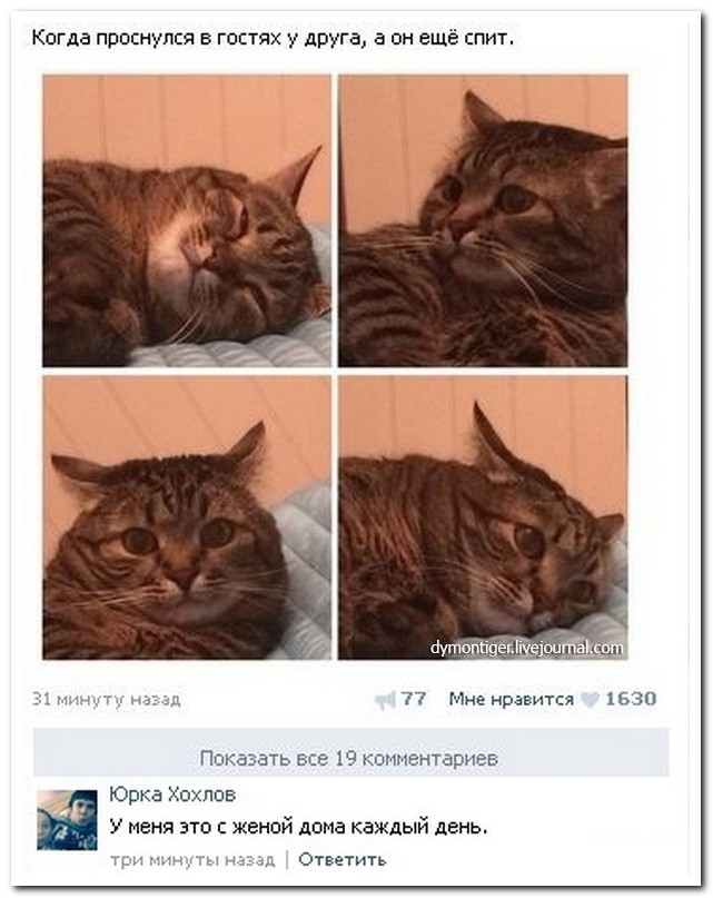 Смешные комментарии из социальных сетей
