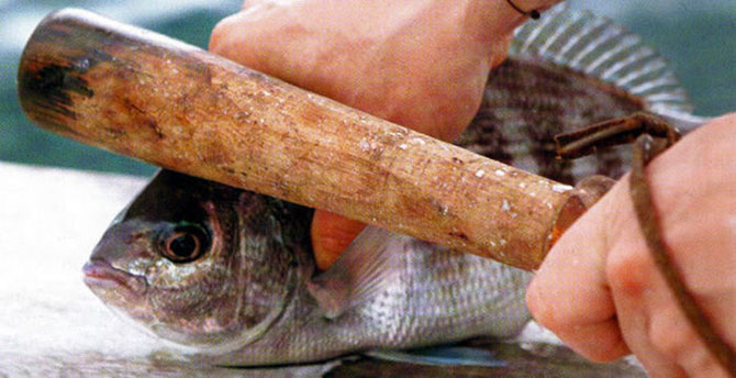 Странные национальные особенности немцев