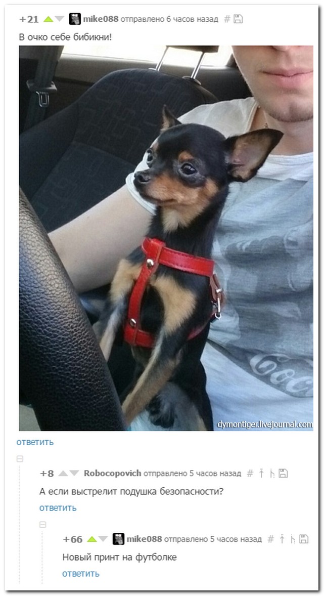 Смешные комментарии из социальных сетей