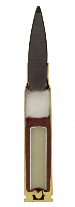 Что находится внутри пули?