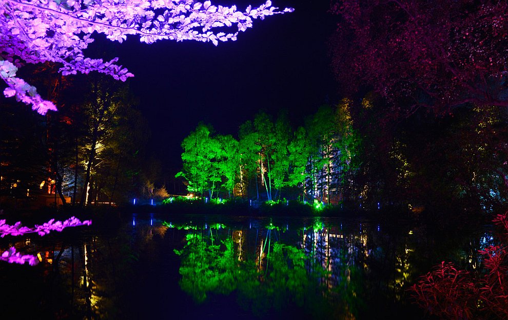 Ночные огни Ночные огни