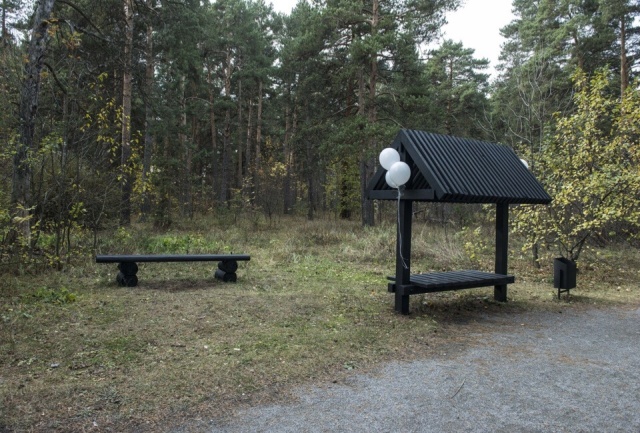 "Облагороженный" парк в Челябинске стал похож на кладбище