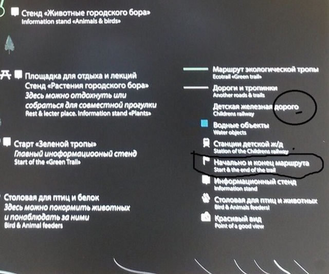"Облагороженный" парк в Челябинске стал похож на кладбище