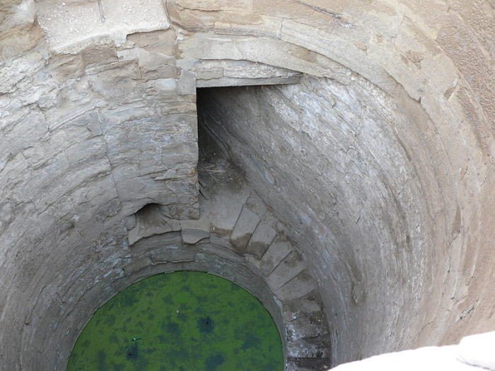 Чего достигли ученые в прошлом веке