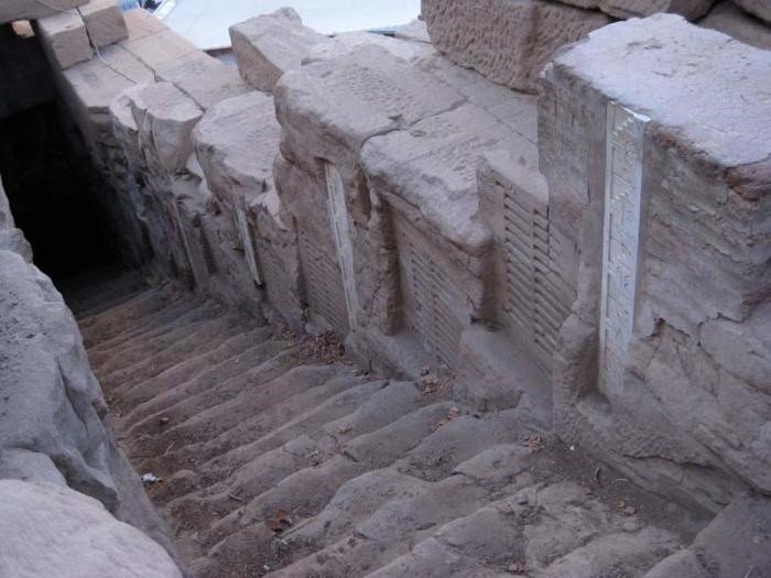 Чего достигли ученые в прошлом веке