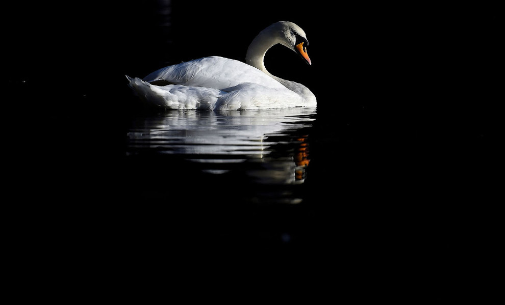 Осенние пейзажи 2018