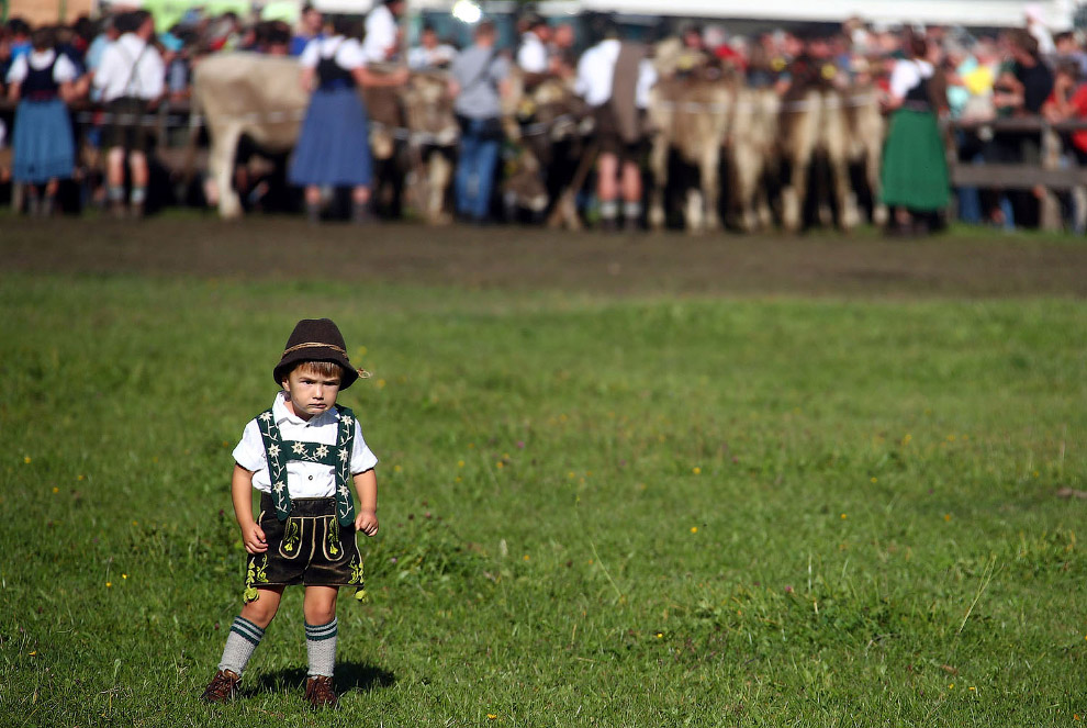 Осенние пейзажи 2018