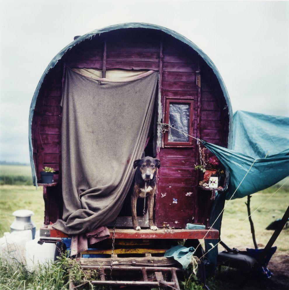 Цыгане в XXI веке Цыгане в XXI веке