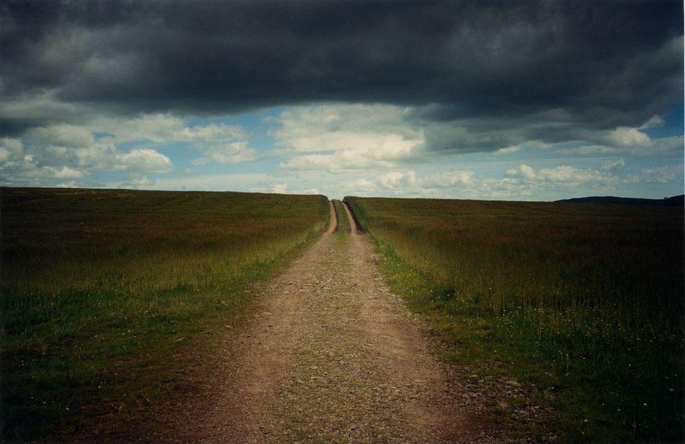 Цыгане в XXI веке Цыгане в XXI веке