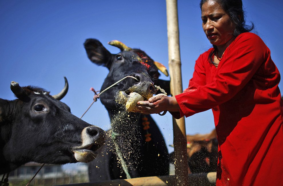 Фестиваль огней Дивали в Индии