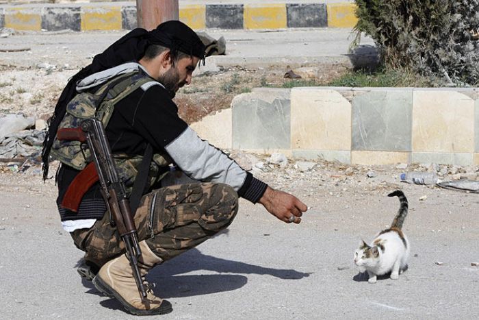 Прикольные картинки