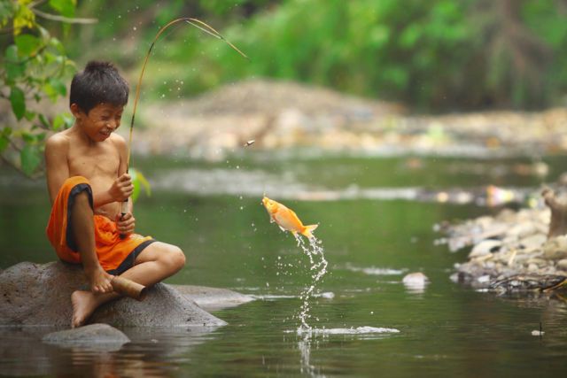 Прикольные картинки