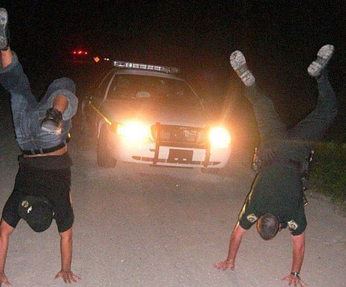 Прикольные картинки