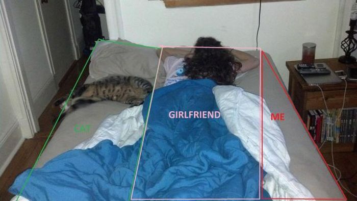 Прикольные картинки