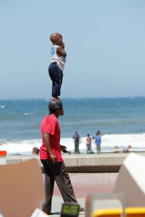 Прикольные картинки