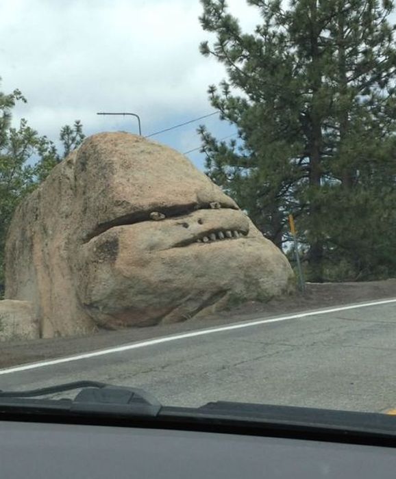 Прикольные картинки