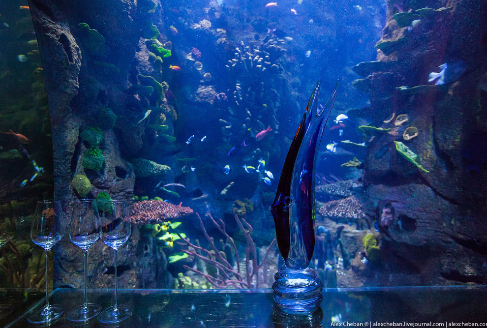 Подводный ресторан в Дубае