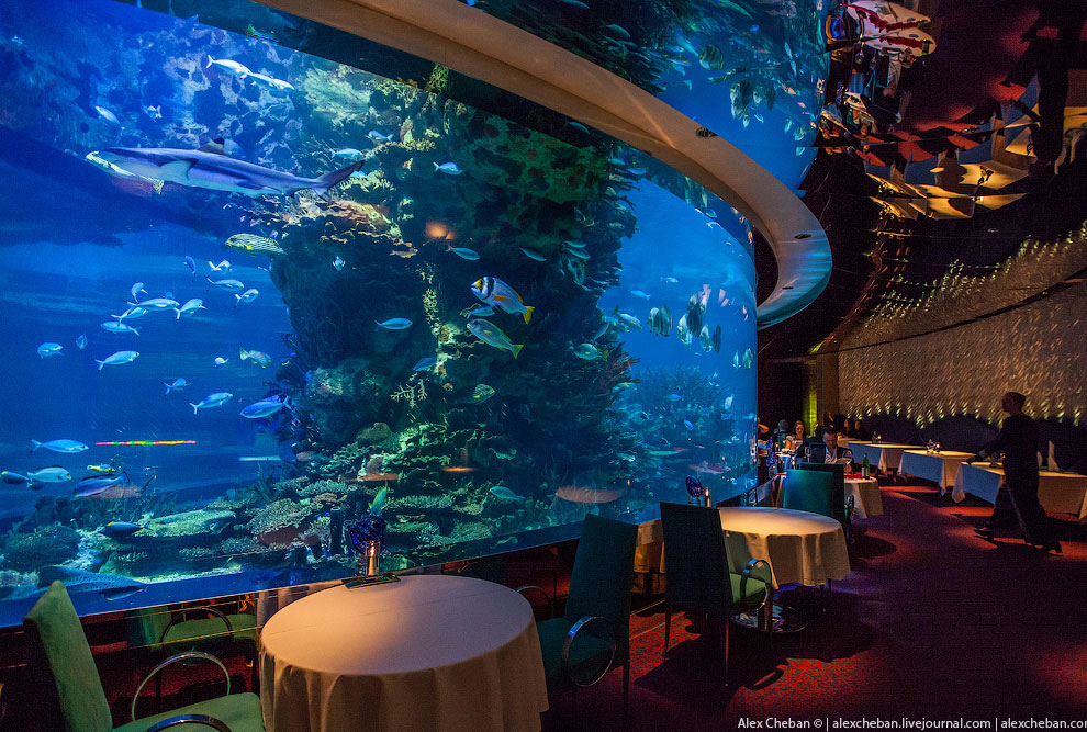 Подводный ресторан в Дубае