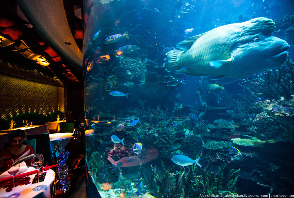Подводный ресторан в Дубае
