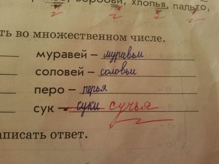 Смешные объявления, вывески и этикетки