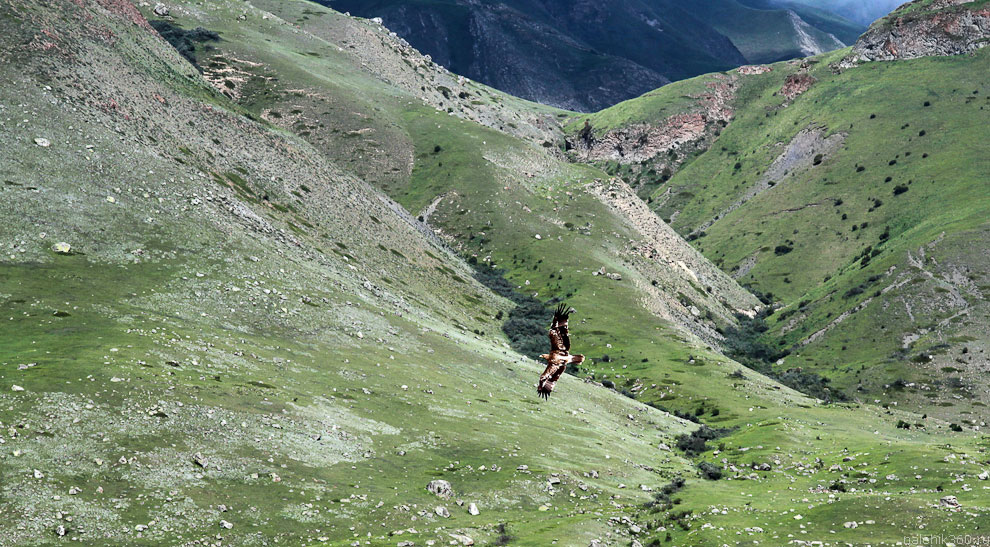 Город мертвых Город мертвых