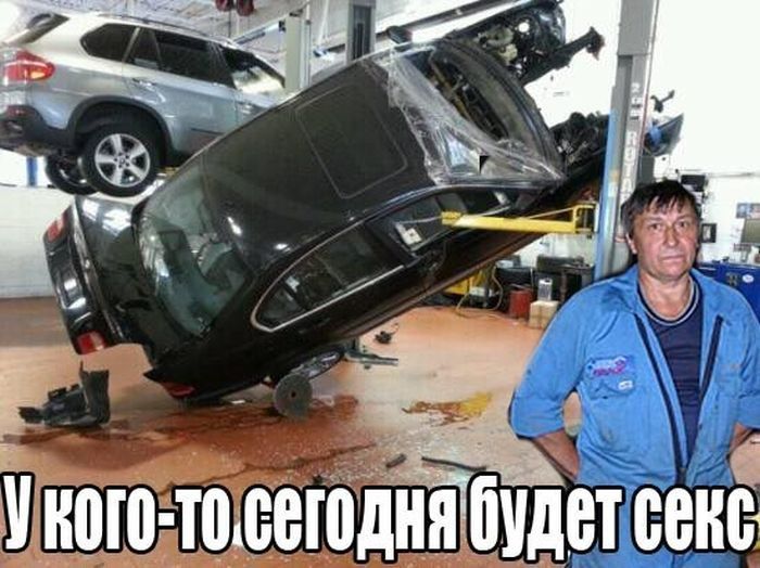 Прикольные картинки