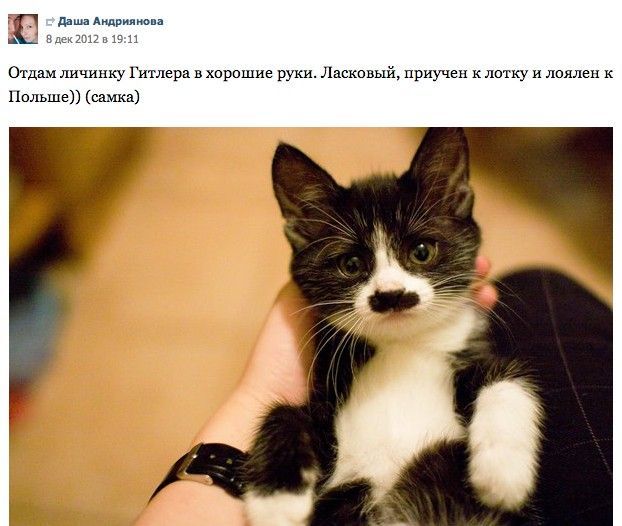 Прикольные картинки