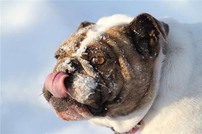 Прикольные картинки