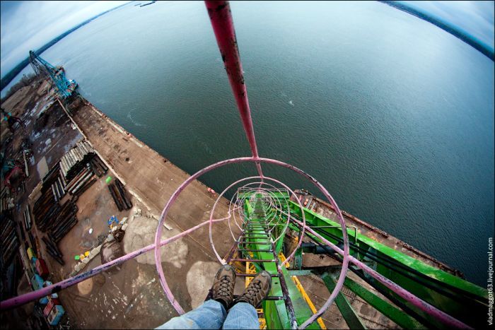 Прикольные картинки