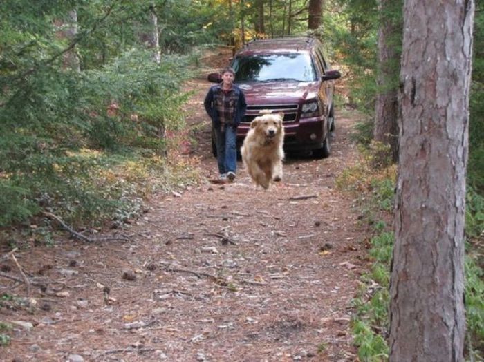 Прикольные картинки