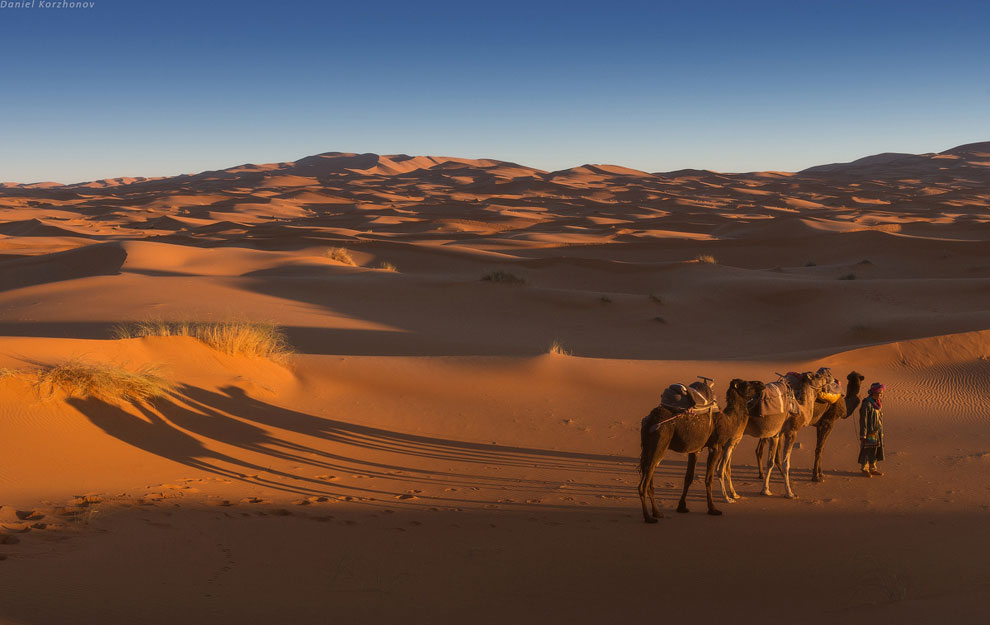 Большое путешествие по Марокко: холодный песок Мерзуги