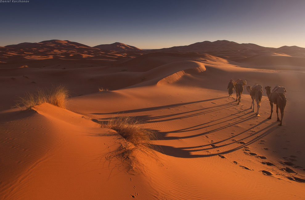 Большое путешествие по Марокко: холодный песок Мерзуги
