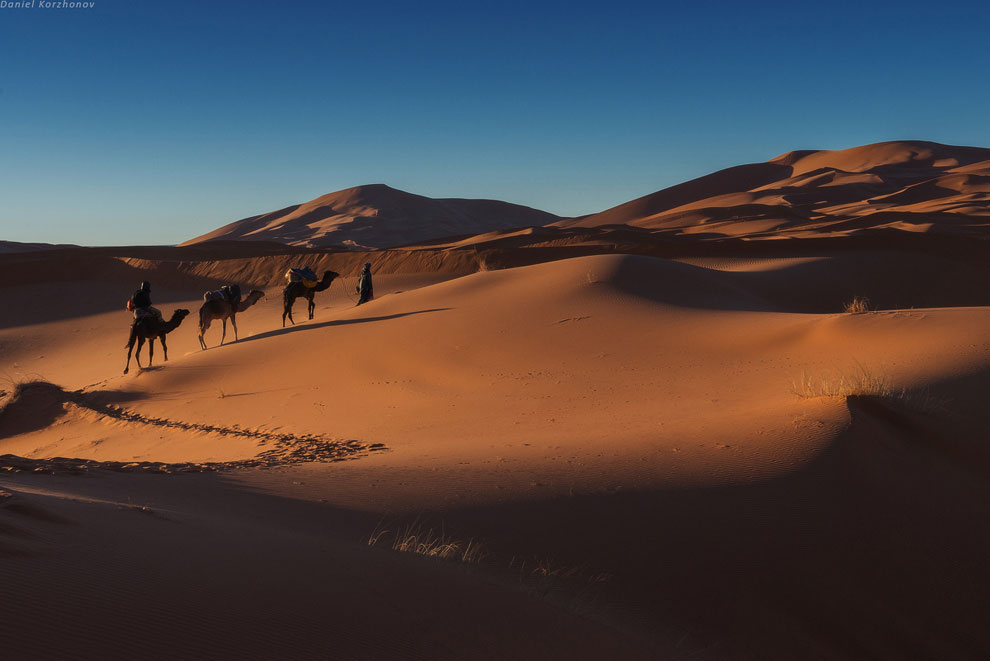 Большое путешествие по Марокко: холодный песок Мерзуги