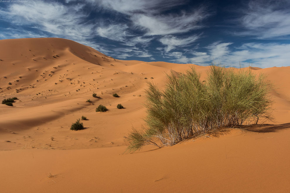 Большое путешествие по Марокко: холодный песок Мерзуги