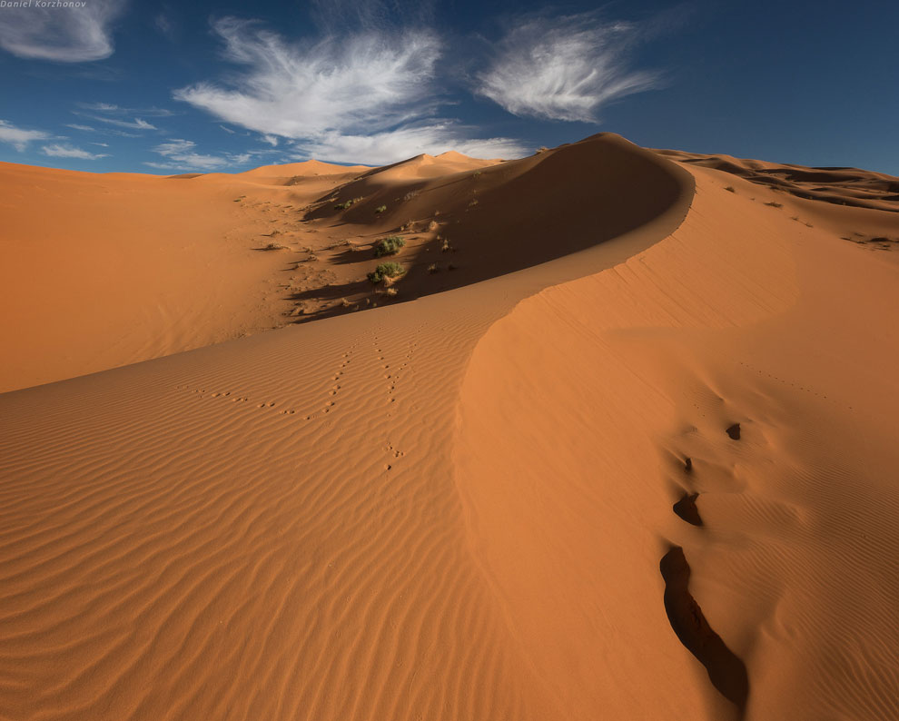 Большое путешествие по Марокко: холодный песок Мерзуги