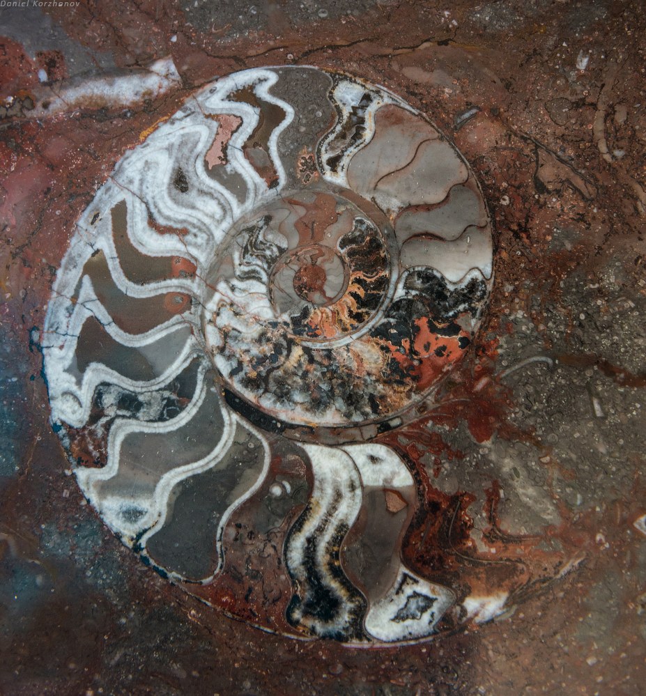 Большое путешествие по Марокко: холодный песок Мерзуги