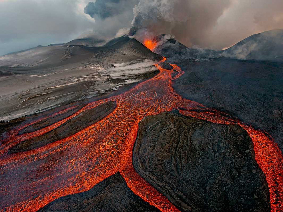 Самые невероятные научные фотографии уходящего года